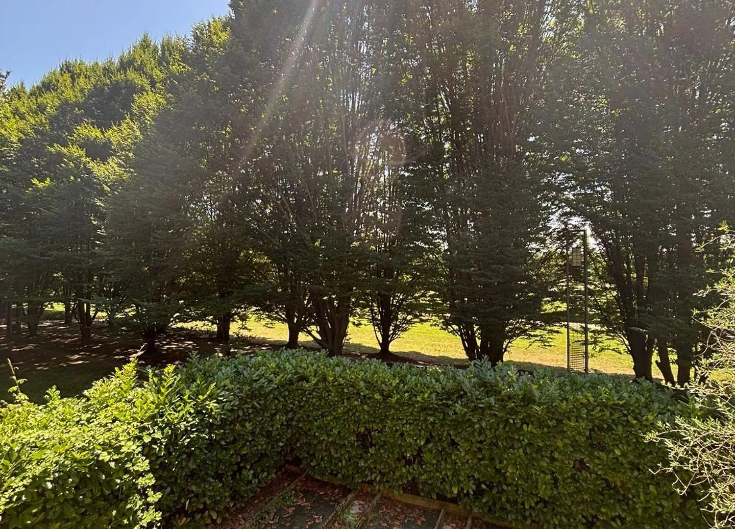 House In The Park! Free Parking And Convenient To ונציה איטליה